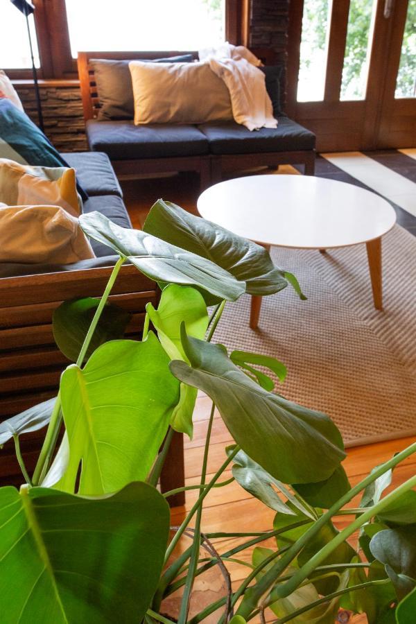 River House Vasa Belgrade Extérieur photo