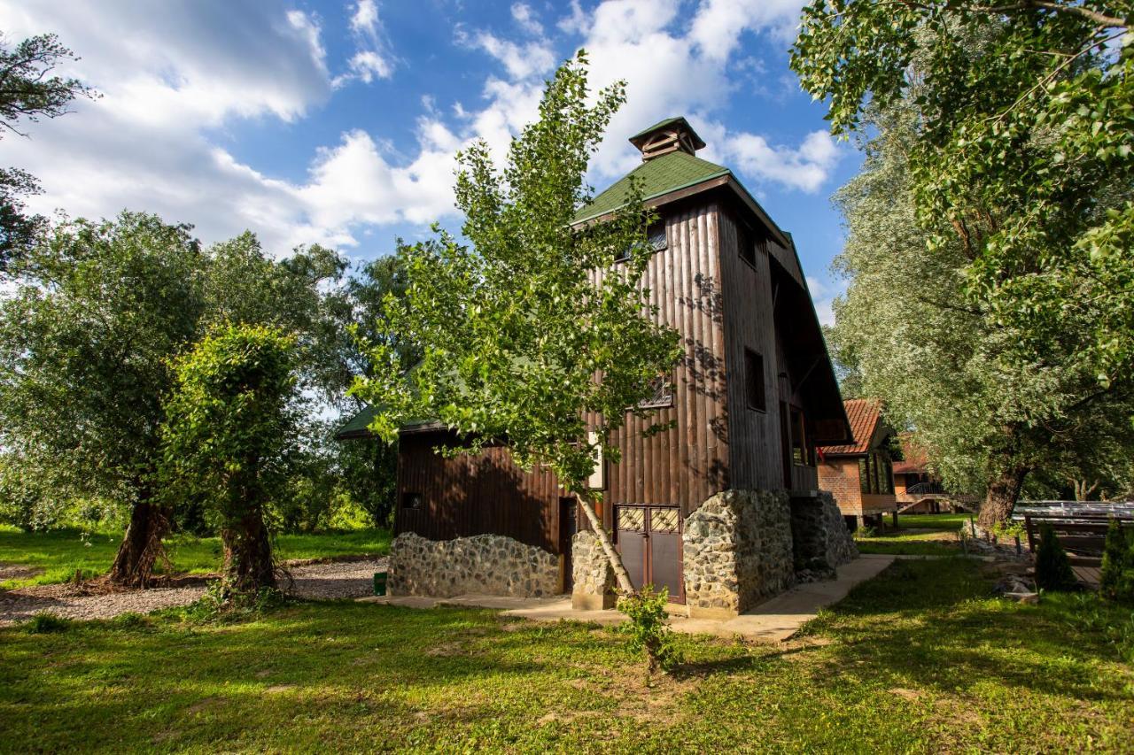 River House Vasa Belgrade Extérieur photo